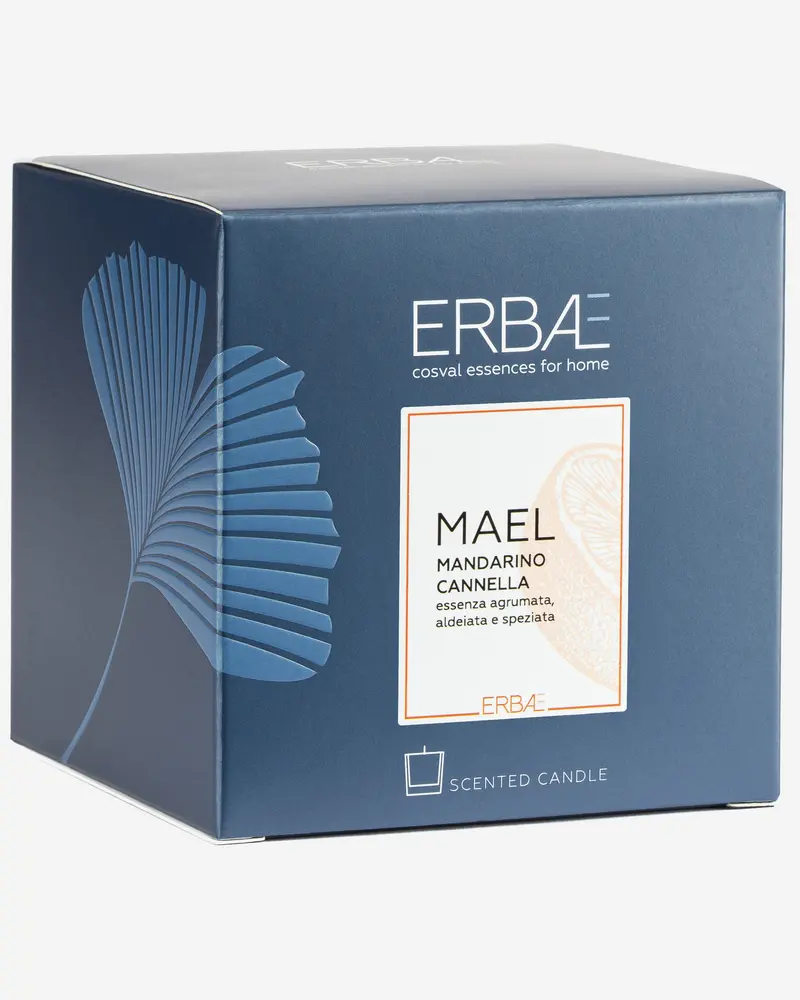 Erbal Mael Scented Candle – 210G Premium Soy Wax, Earthy Floral Blend 1
