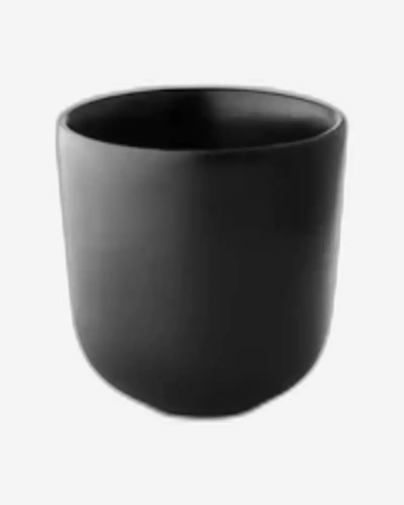 Eva Solo 502763 Vacuum-Insulated Thermos Mug – 250Ml, Nordic Design 1