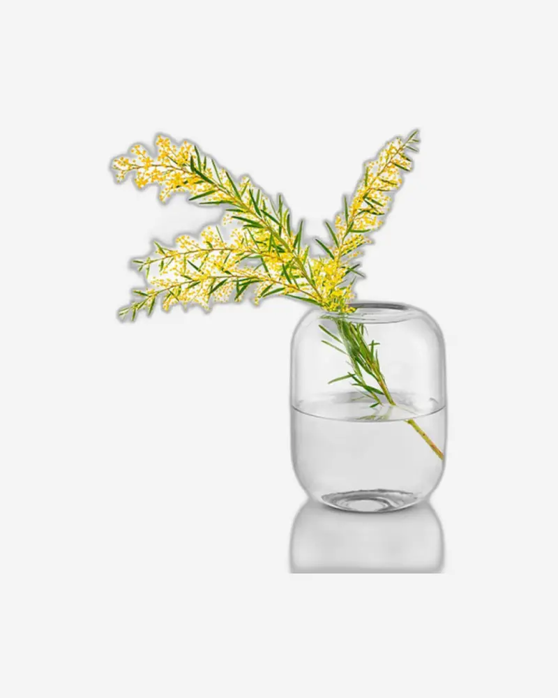 Eva Solo Acorn Vase – Clear Glass, 16.5Cm (Model 571388) 1