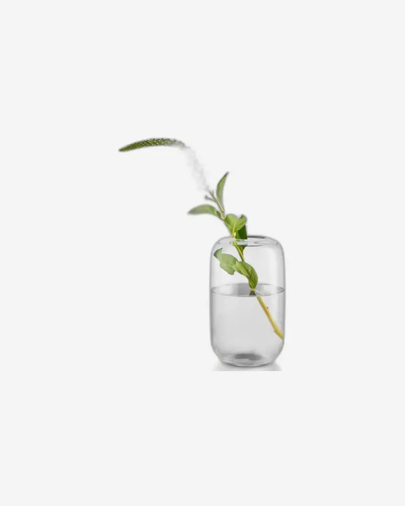 Eva Solo Acorn Vase – Clear Glass, 22Cm (Model 571390) 1