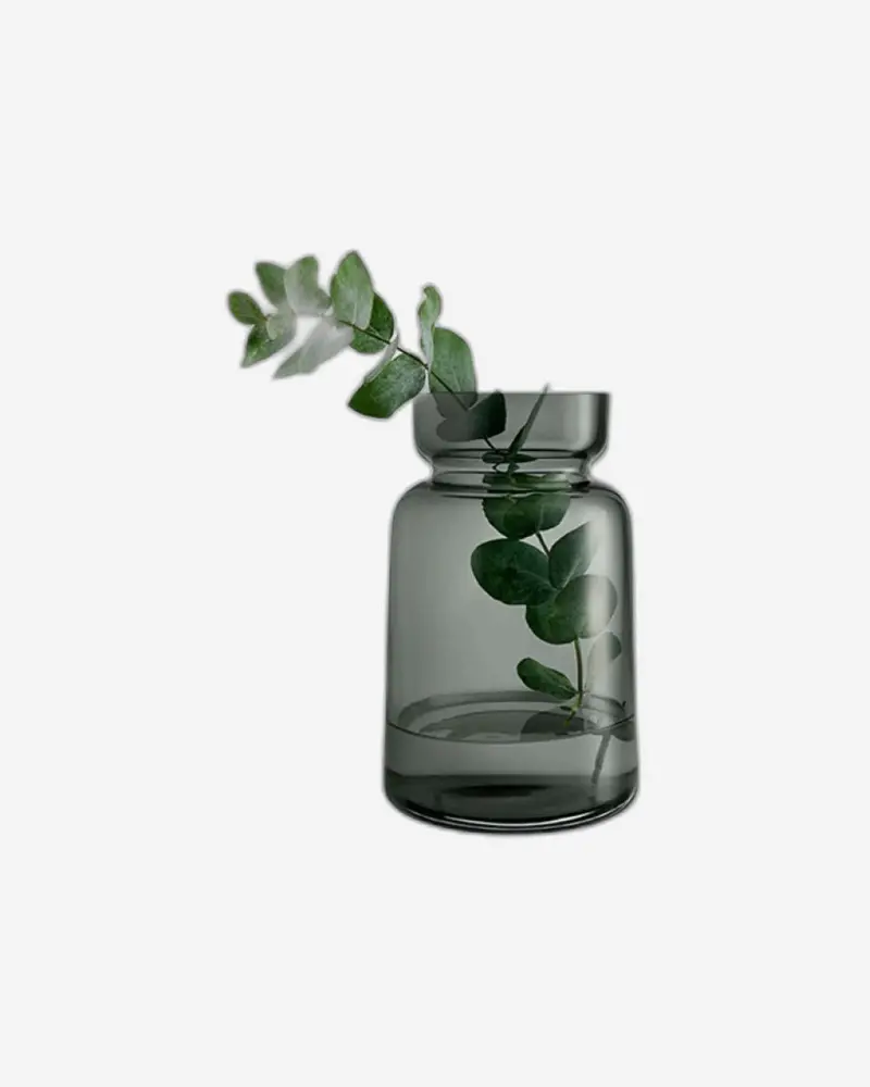 Eva Solo Silhouette Glass Display Case – 18.5Cm Tall (Model 591511) 1